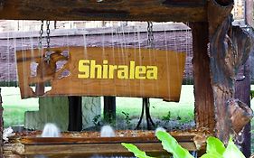 Shiralea Resort